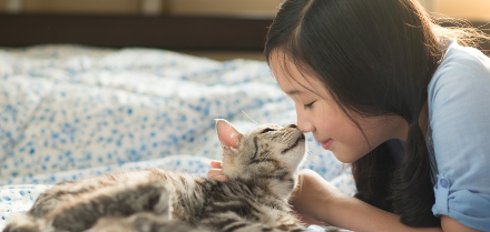 코 키스하는 고양이와 여자아이.