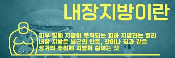 내장지방