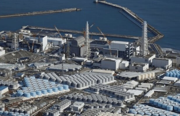 방사능-배출-음식