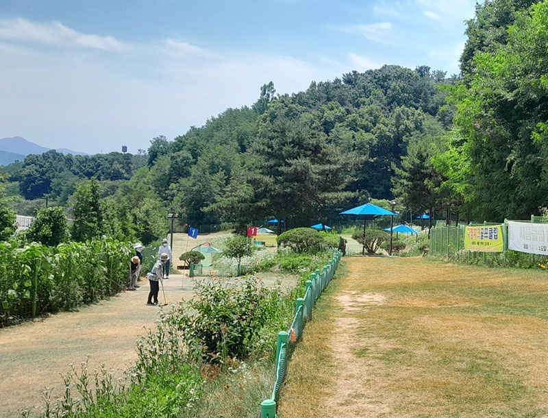 세종시 한솔파크골프장 소개