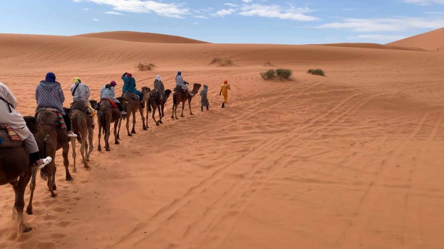 사하라 사막 투어