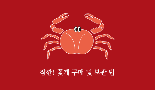 가을꽃게