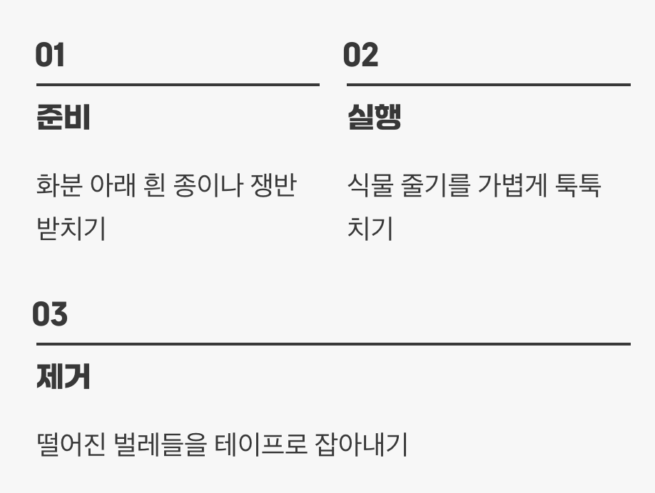첫 번째 길: 물리적 방제, 가장 확실한 방법