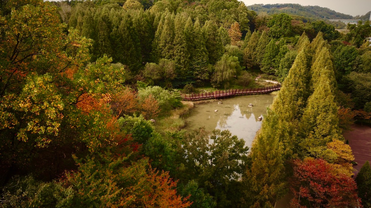 오산 물향기수목원 전경 – 수생식물과 자작나무 숲길이 어우러진 향기 가득한 자연 정원