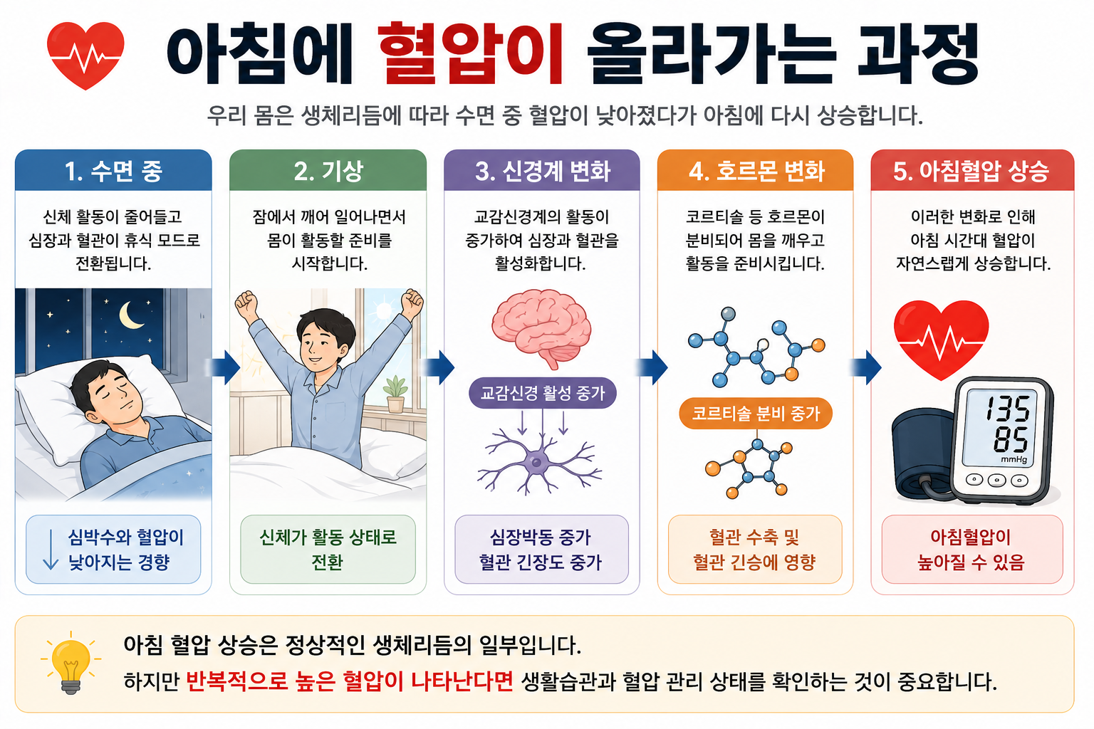 수면과 기상, 자율신경 변화에 따른 아침 혈압의 개념도