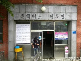 태백 고한 도계 시외버스 터미널 시간표 예매 요금_9