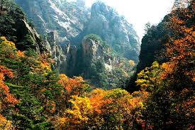 오대산 단풍 드라이브 코스