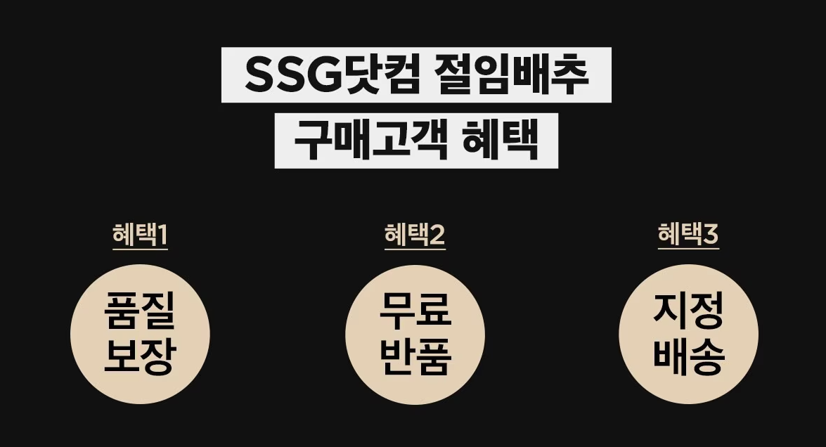 이마트 절임배추