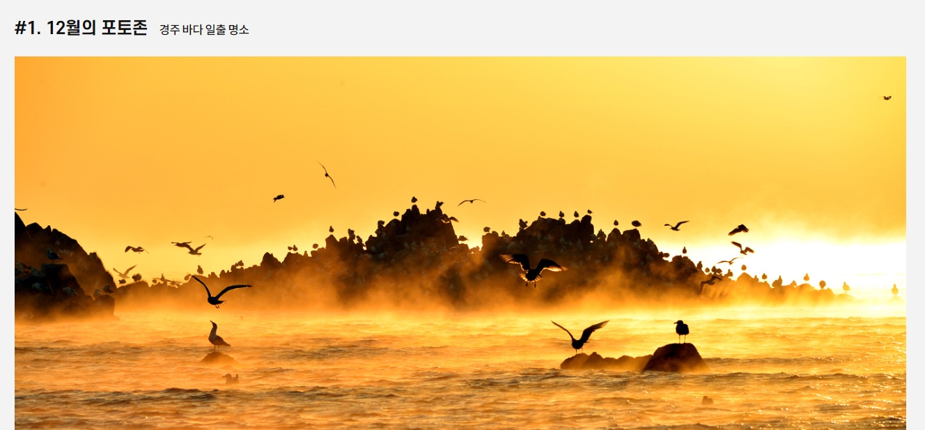 경주 바다 포토존 추천