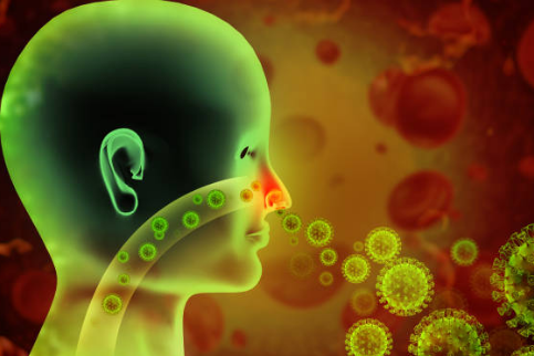 비염 증상&amp;#44; 뿌리를 뽑으려면&amp;#44; 치료방법 총정리 (2024ver)