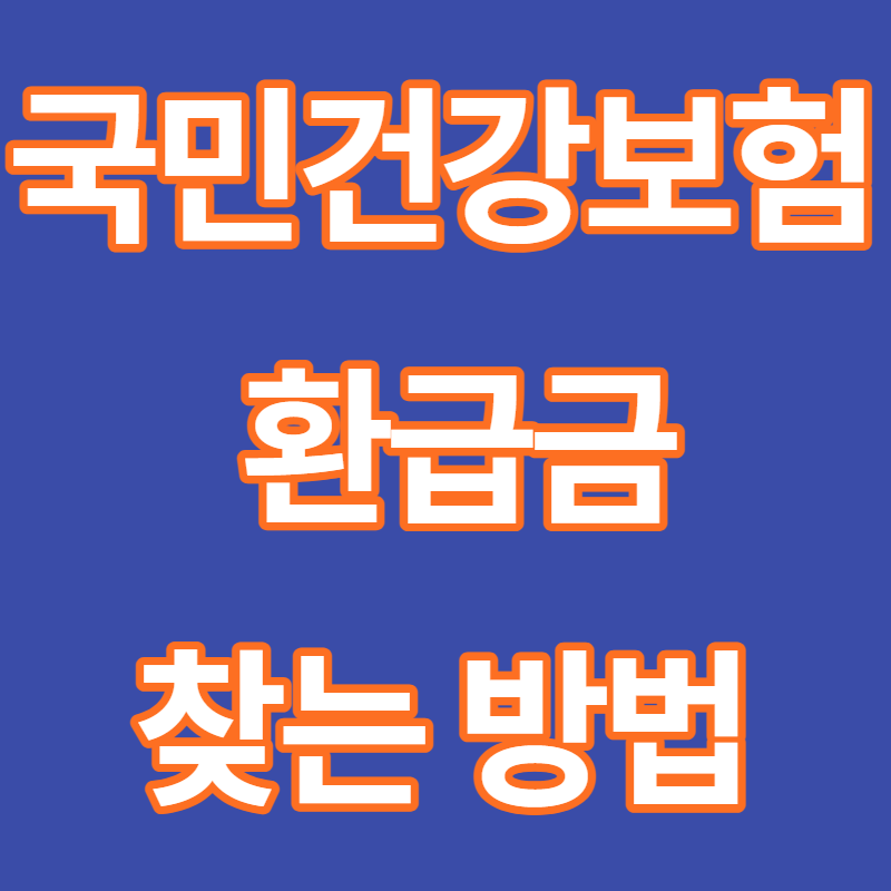 국민건강보험본인부담금환급