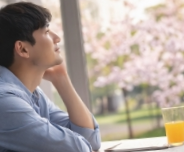 스프링 피버 뜻