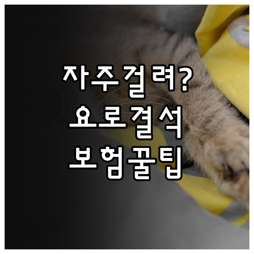 고양이 요로결석 자주 걸리는 이유와 ..