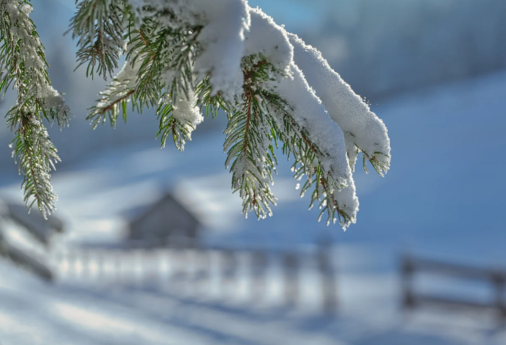 지원금 신청 시 주의사항 