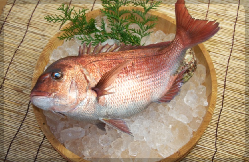 12월 제철 해산물