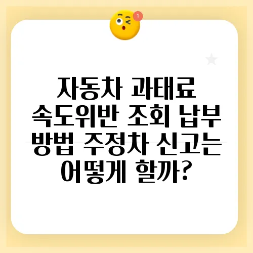 자동차 과태료 속도위반 조회 납부 방법 주정차 신고는 어떻게 할까?