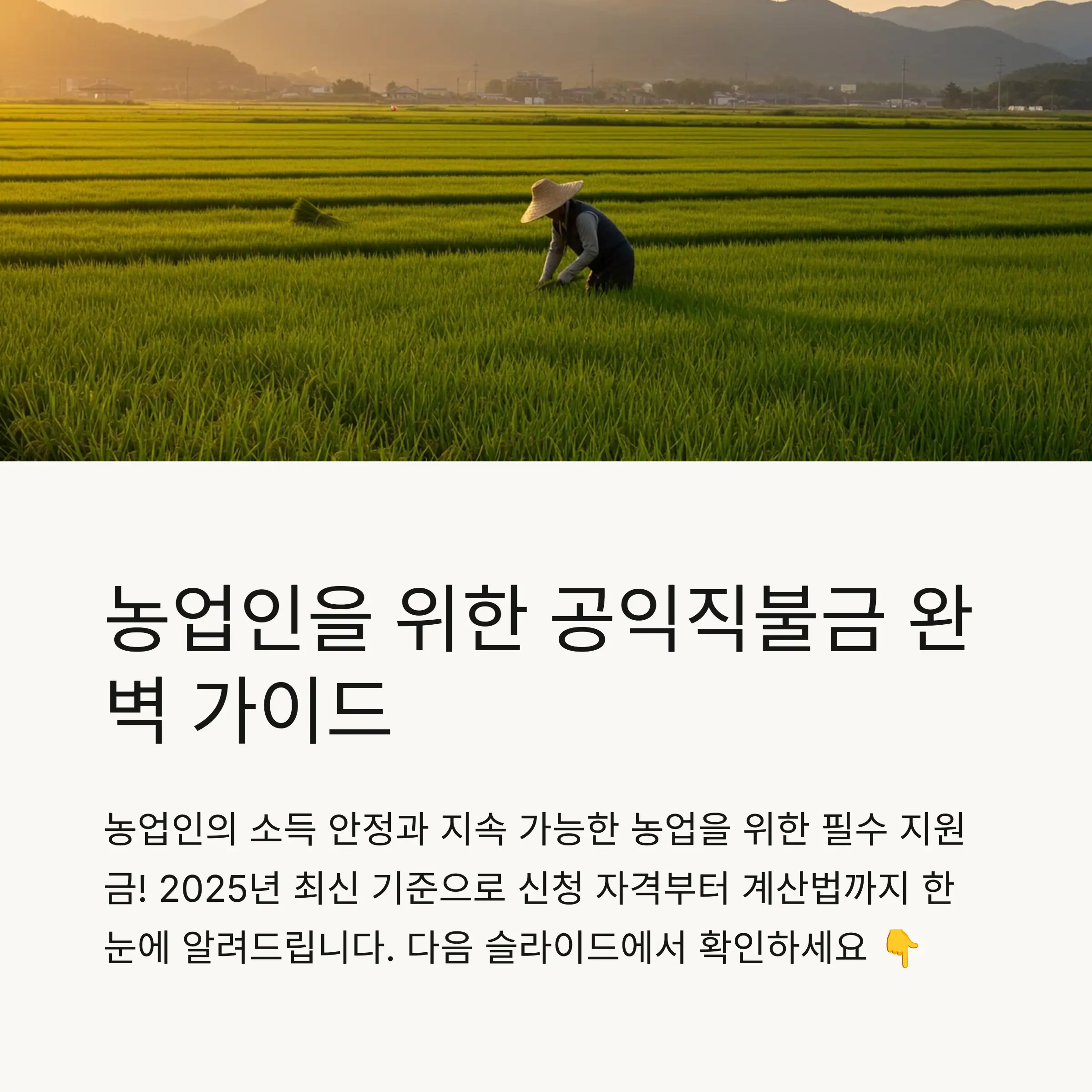 📋 목차