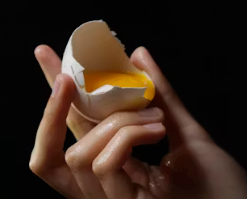 비타민A가 많은 음식