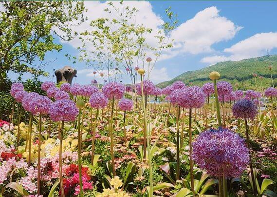 천안 가볼만한곳 베스트10 아름다운정원 화수목