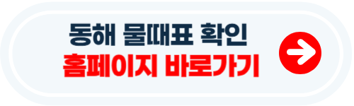 동해 물때표 확인방법