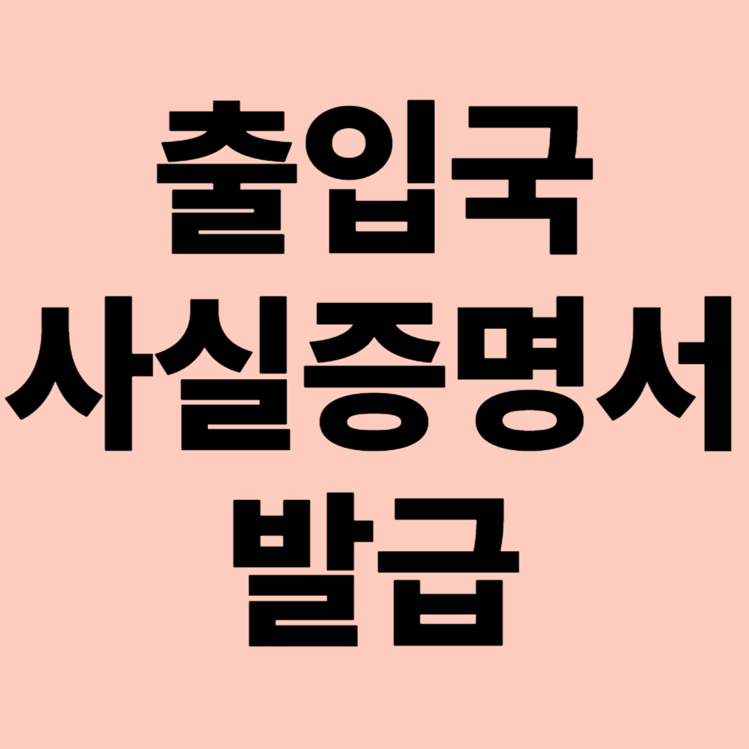 출입국 사실증명서 발급 관련 이미지