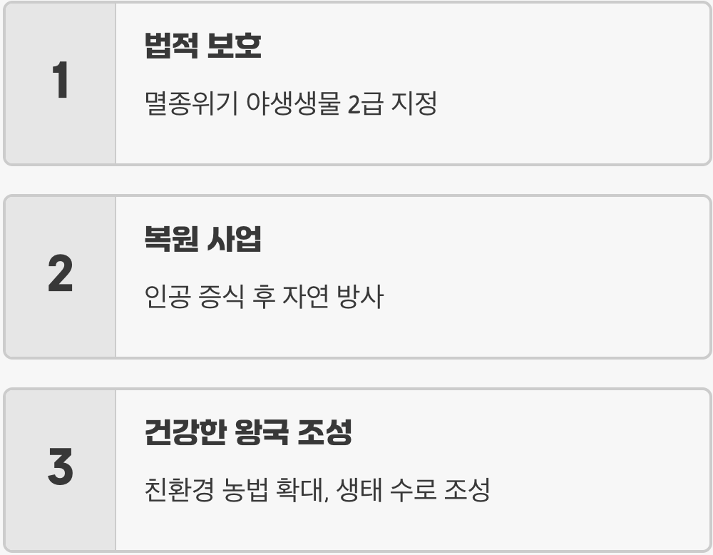 4. 왕의 귀환을 위한 작은 노력들