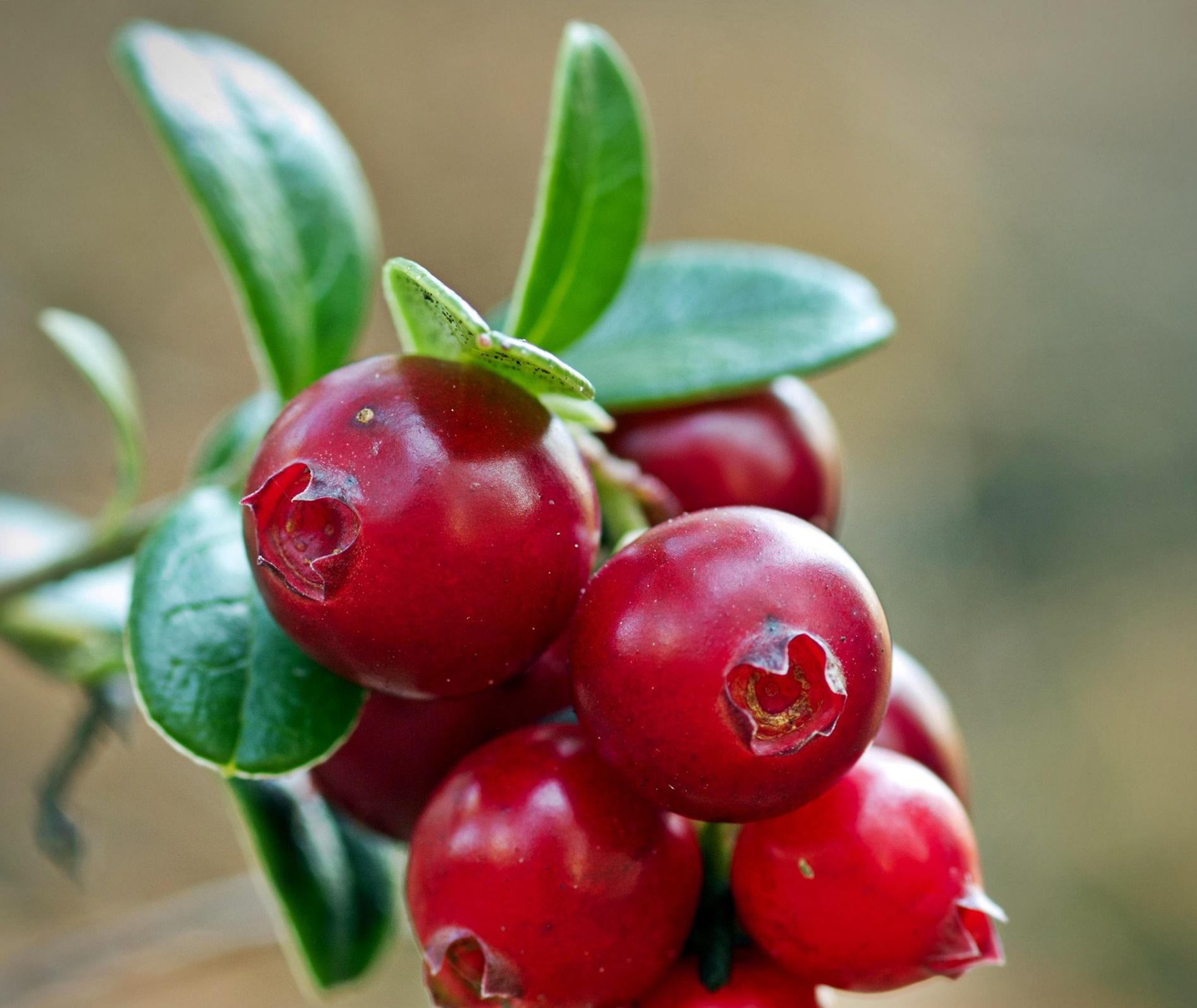 당뇨 합병증이 생기는 원인과 주요 증상&amp;#44; 반드시 알아야 할 예방법 