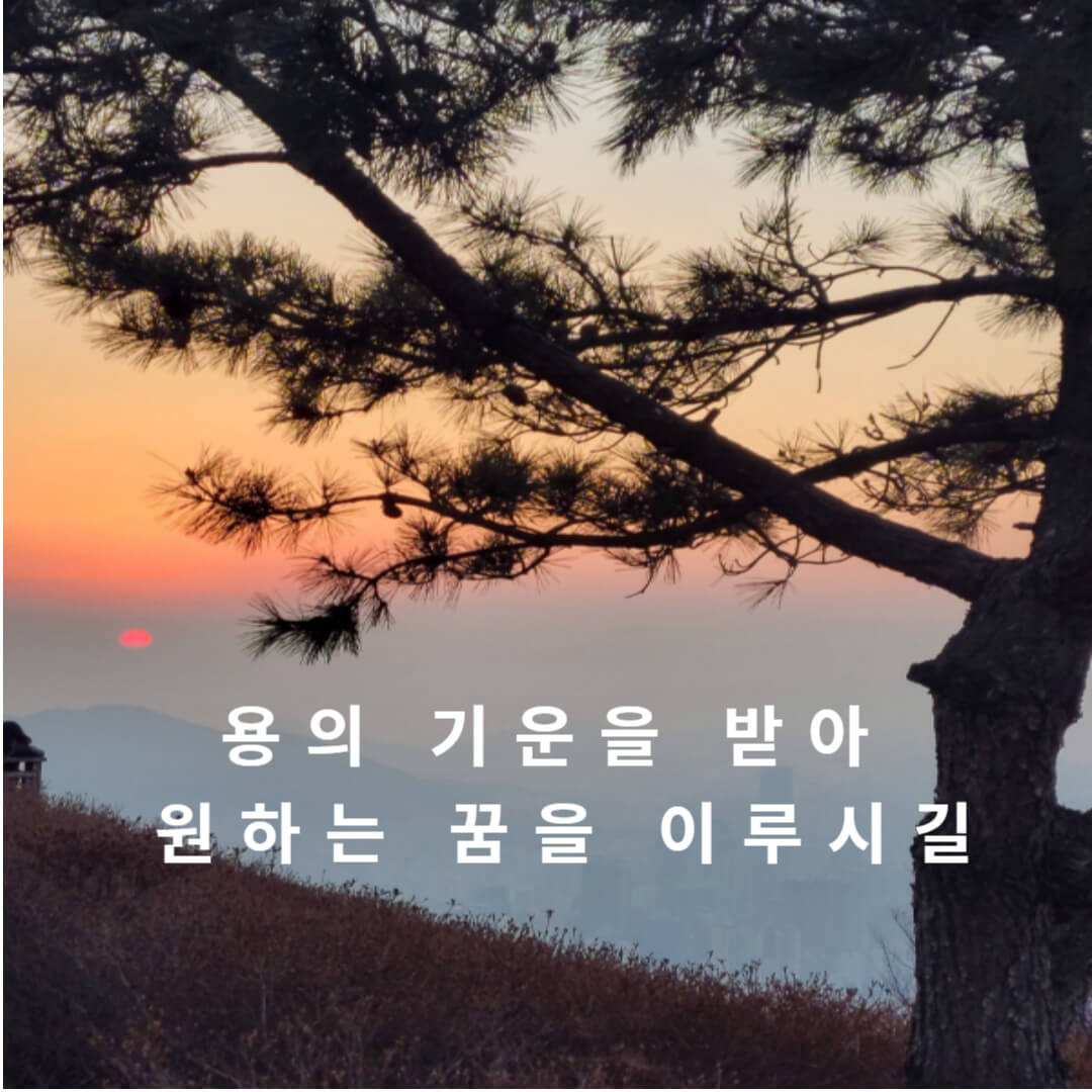 2024년-새해인사-사진