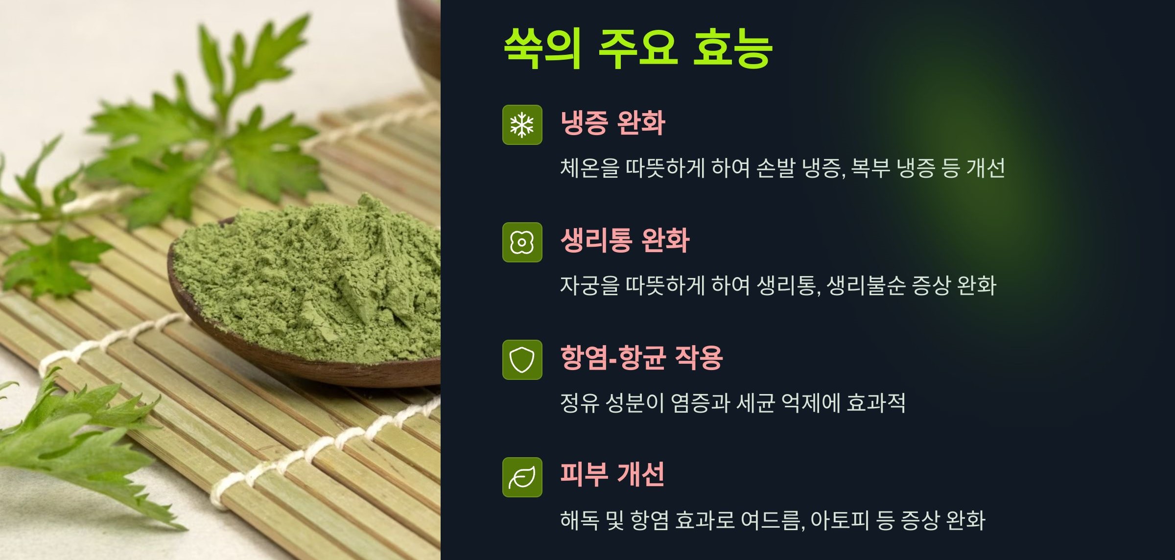 쑥의 효능