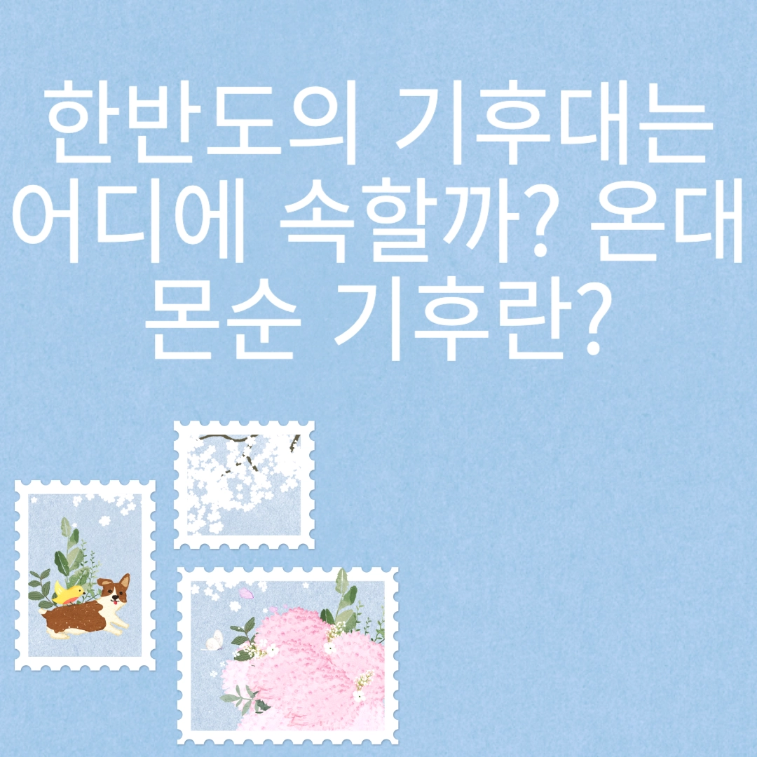 한반도의 기후대는 어디에 속할까? 온대 몬순 기후란? 포스팅 섬네일