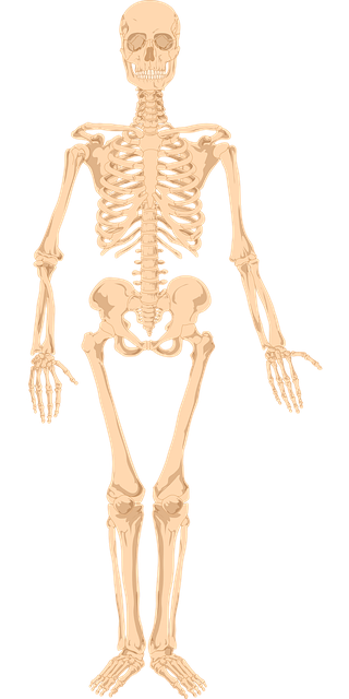 비타민D 보충제 종류와 부작용