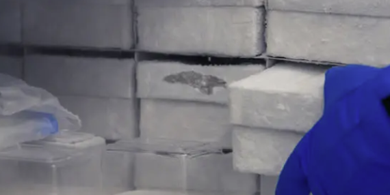 Cryo-preservation 조건이 LC-MS/MS 분석 결과에 미치는 영향