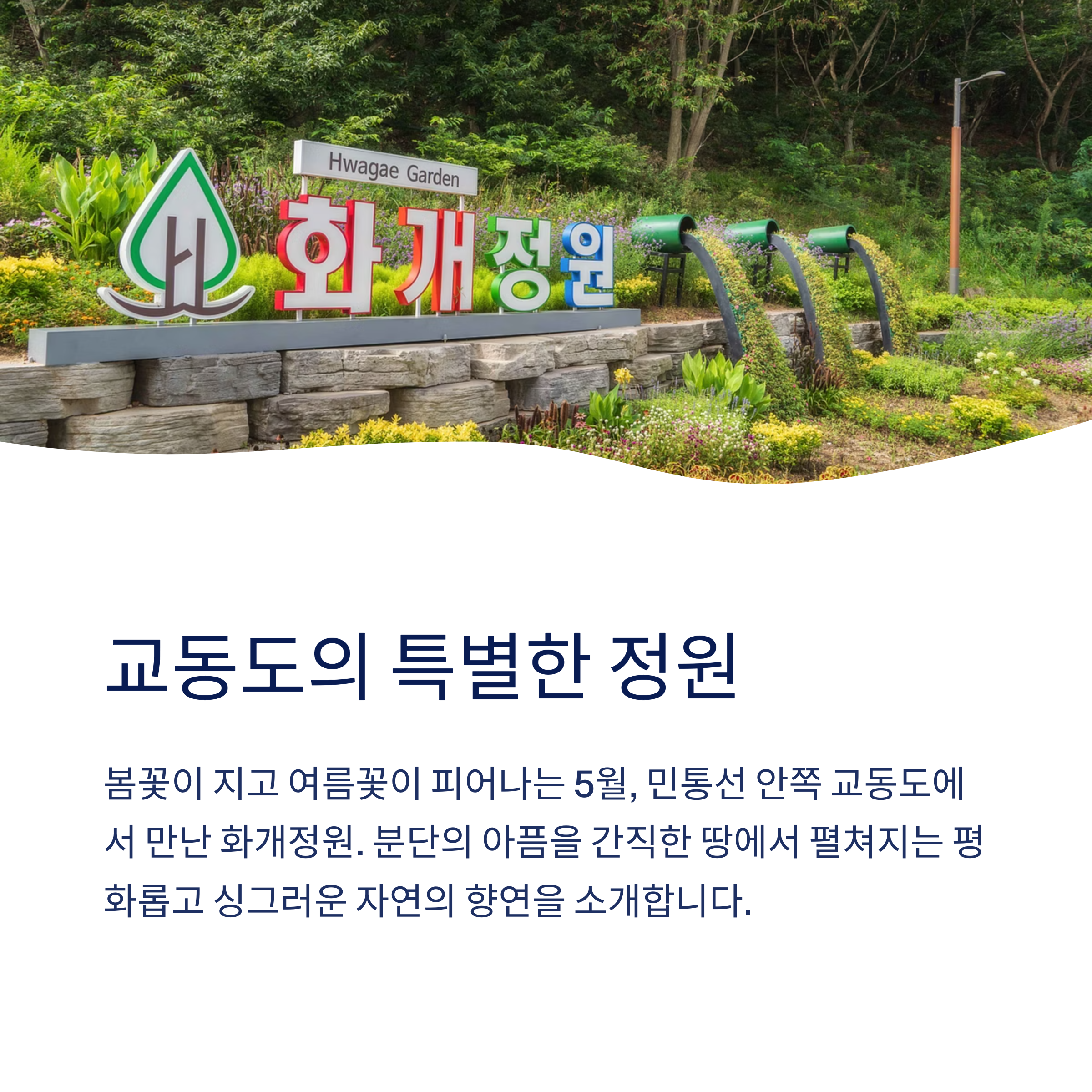 교동도의 특별한 정원