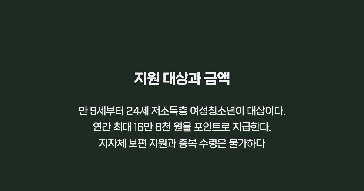 생리용품 바우처 지원 대상과 금액 카드뉴스