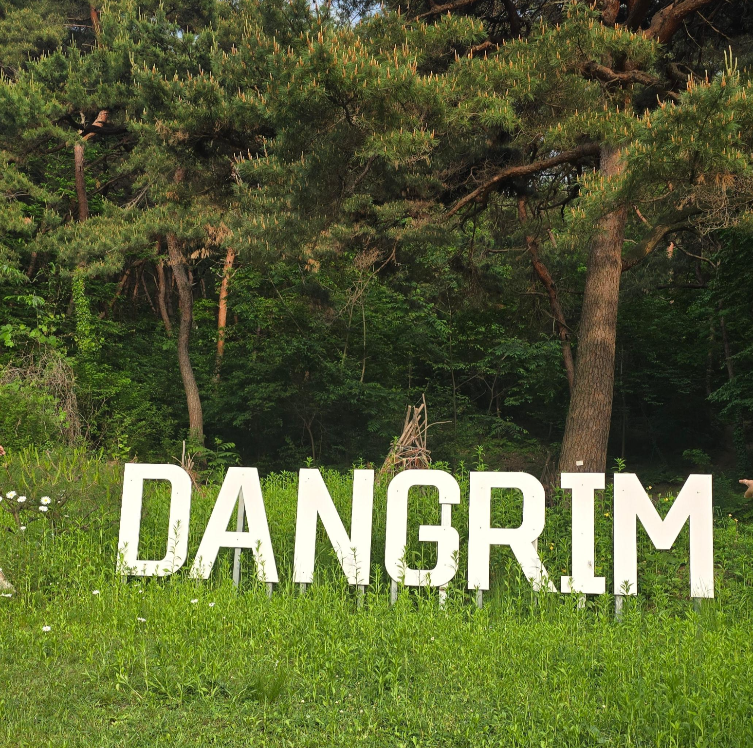 화창한 날, 아산 당림미술관에서 즐긴 감성 나들이