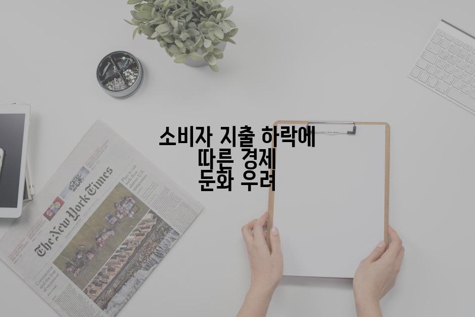 소비자 지출 하락에 따른 경제 둔화 우려