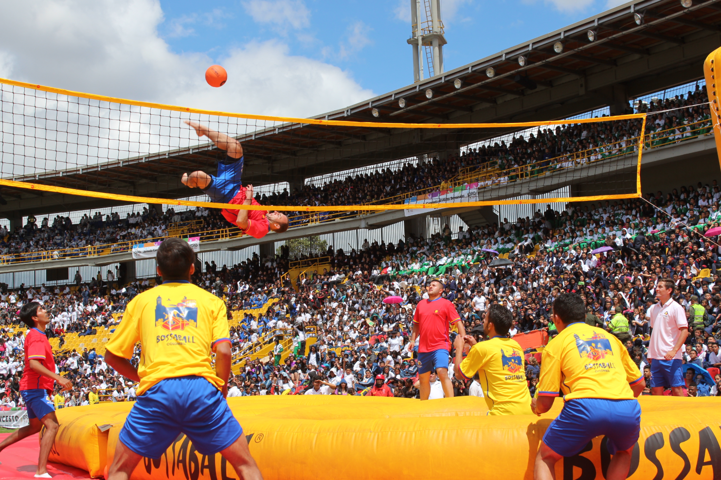 보싸볼이 인기 있는 나라 TOP 5