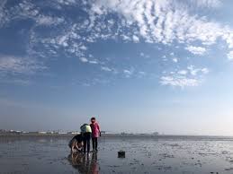 ์ค์ด๋ ๊ฐฏ๋ฒ์ฒดํ