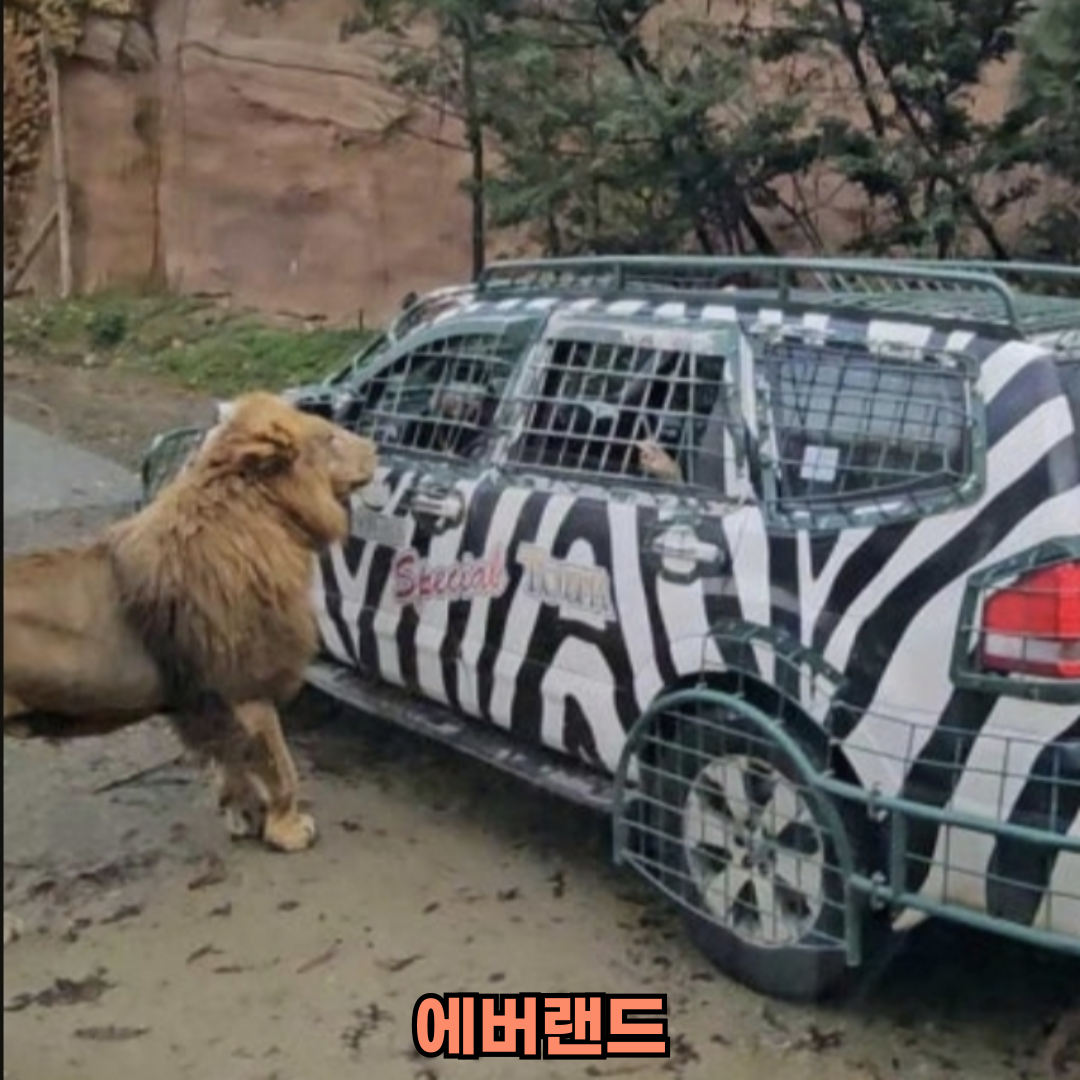 에버랜드