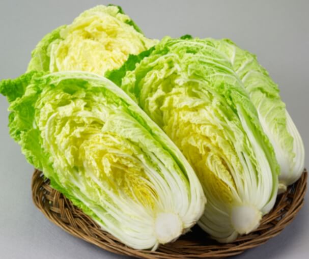 김장배추 잘 고르는 법 : 맛있는 김장을 위한 첫걸음