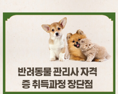 강아지세마리썸네일