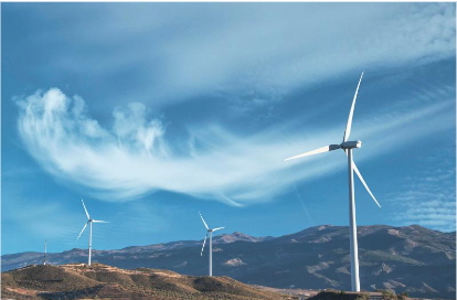 바람 부는 사진