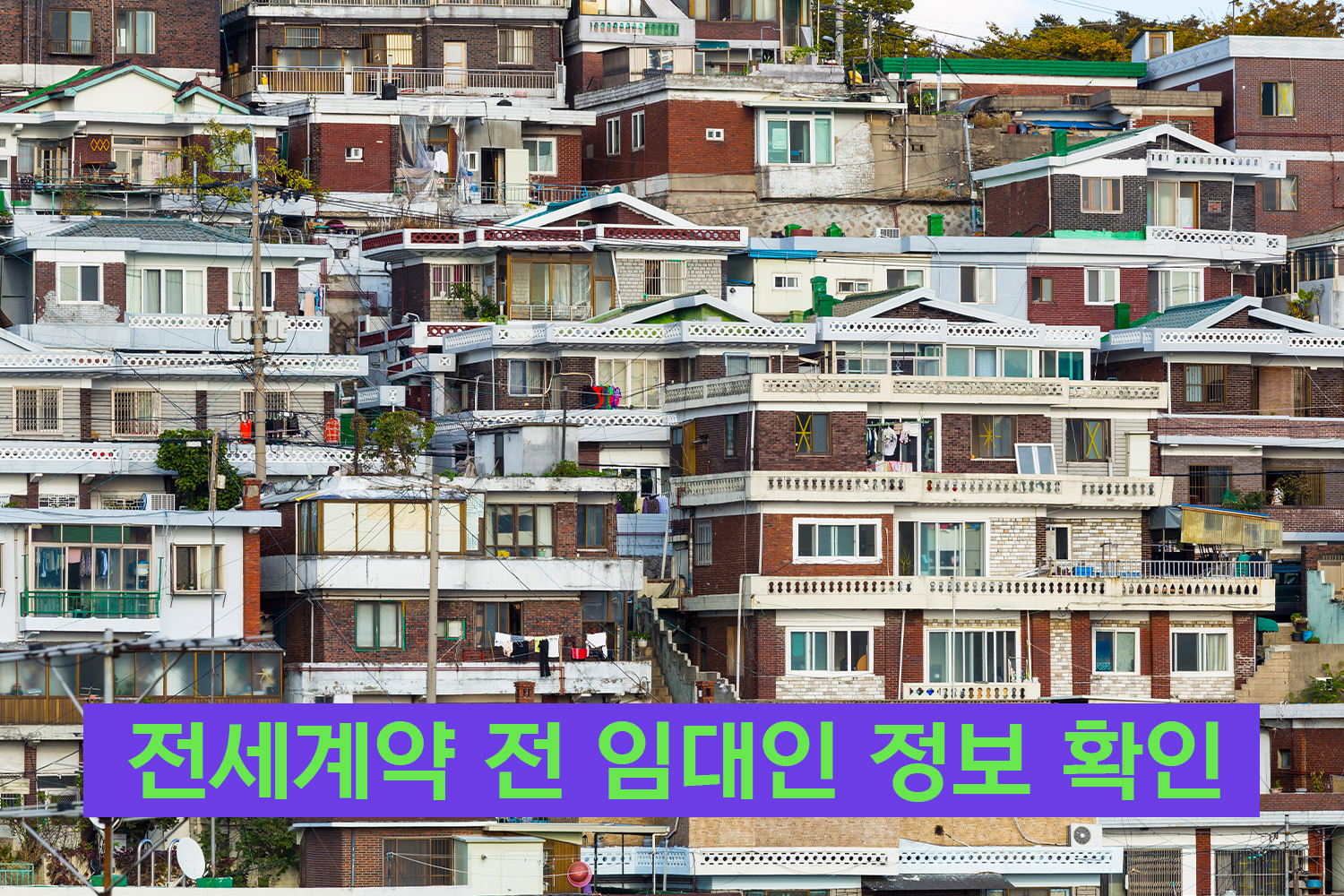 전세계약 전 임대인정보 사전확인