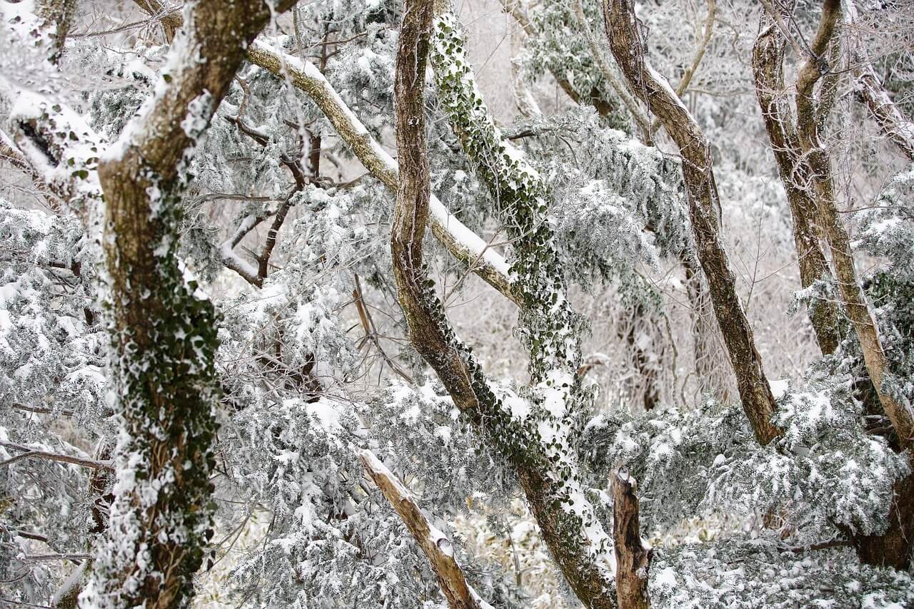 2025년 동지 날짜와 의미