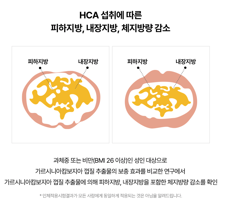 2023년 맨올로지컷 파란통 다이어트 후기! 총정리