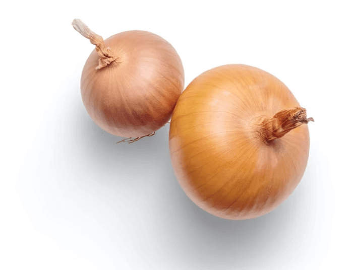 껍질을 깐 양파 두 개