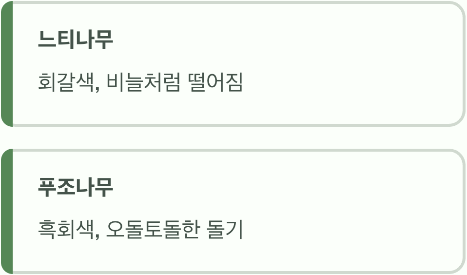 두 번째 단서, 나무껍질(수피)의 질감