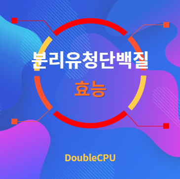 분리유청단백질 효능 탐구