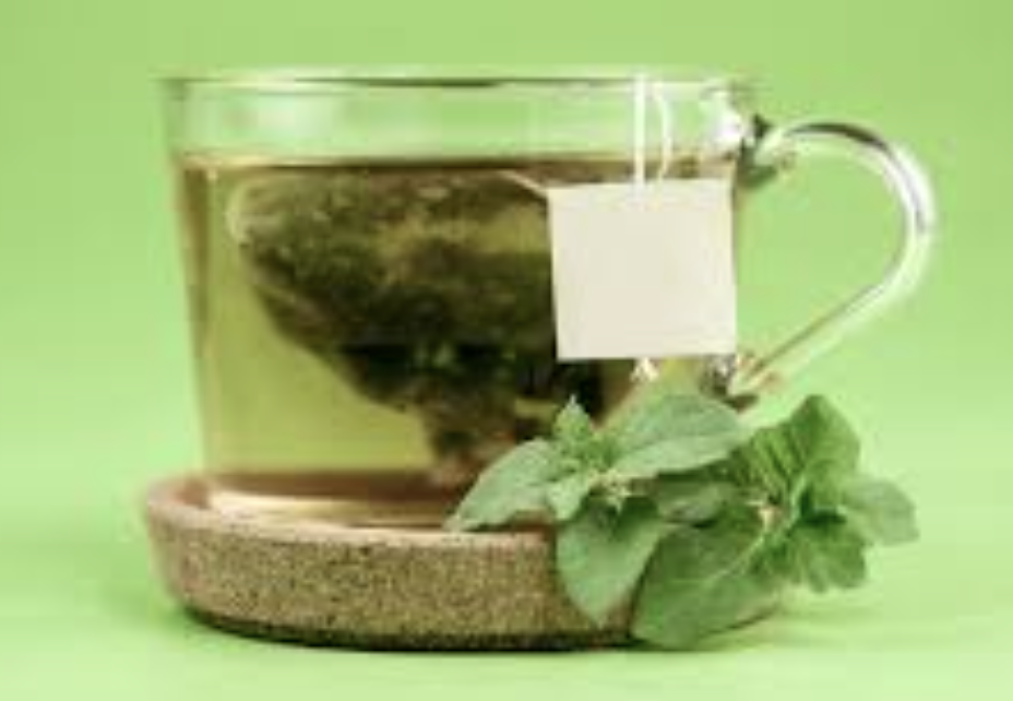 카테킨 효능 부작용 하루 권장량 다이어트 효과