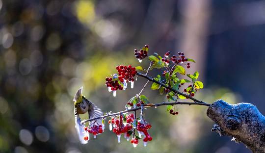 8월 국내 여행지 추천 베스트